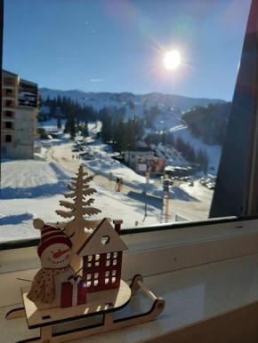 Snowman Studio Apartment Jahorina
